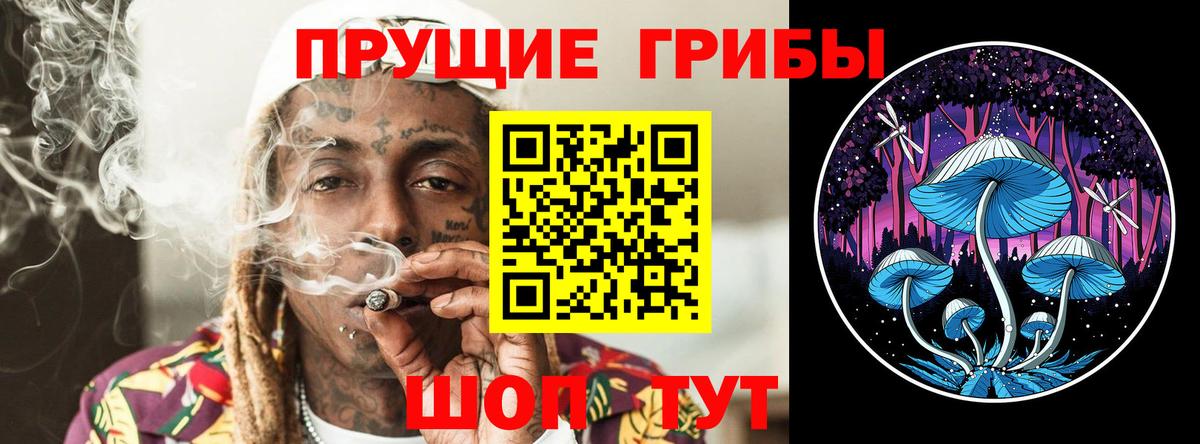 Борзя  Галлюциногенные грибы Cubensis  Вход с VPN 