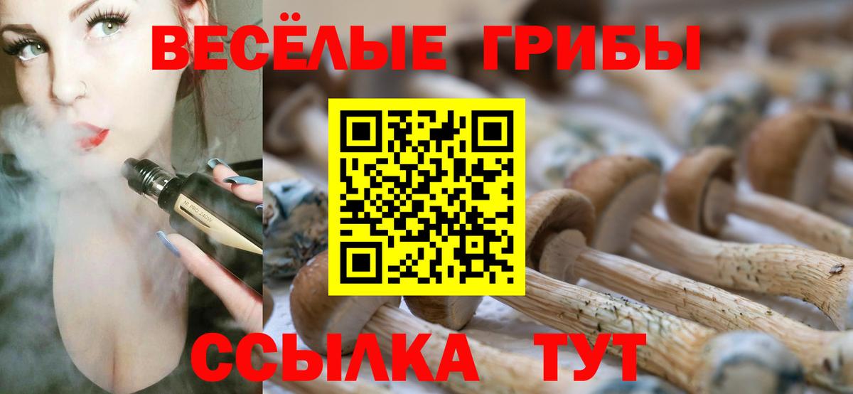 Псилоцибиновые грибы Magic Shrooms Борзя